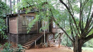 A wooden cabin with a staircase leading to a deck, surrounded by trees and a forested area.