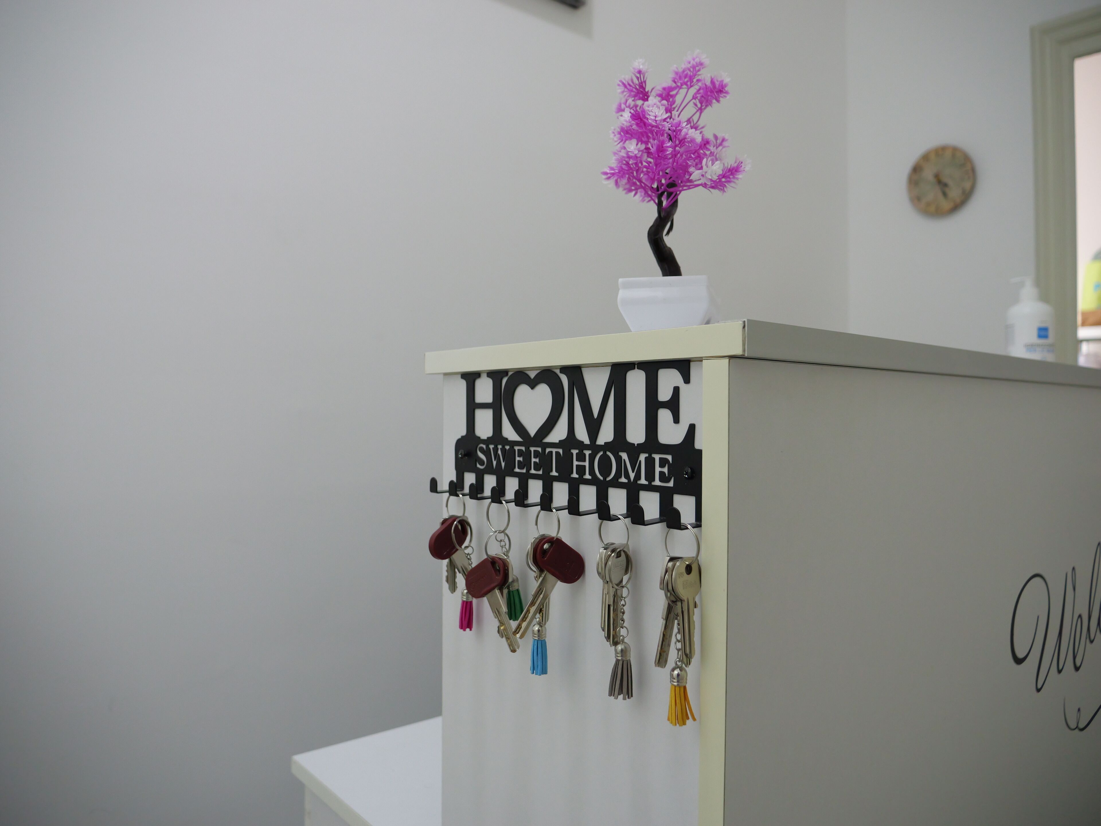 A key rack with a sign that reads "HOME SWEET HOME" and a small potted plant on top.