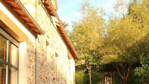 A stone building with a patio and a grassy yard. - Maison DE Charme, 2 Pigeonniers ET Piscine (Saint-Rémy)