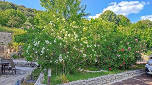 Un jardin agrémenté de plantes à fleurs, un mur en pierre et un banc.