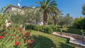 A well-maintained garden with a variety of plants, including a prominent palm tree and red flowering shrubs.