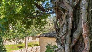 A stone building with a tiled roof, surrounded by lush greenery and a large tree. - Amazing home in Tinjan (Tinjan)