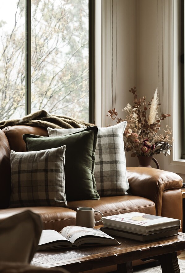 Älytelevisio, takka, kirjoja