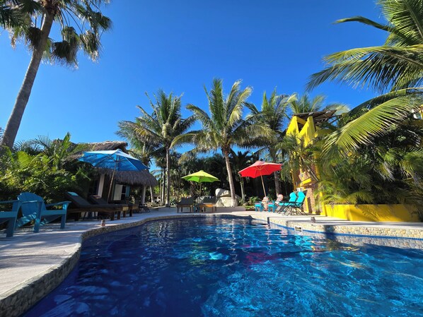 Outdoor pool, open 8:00 AM to 11:00 PM, pool loungers