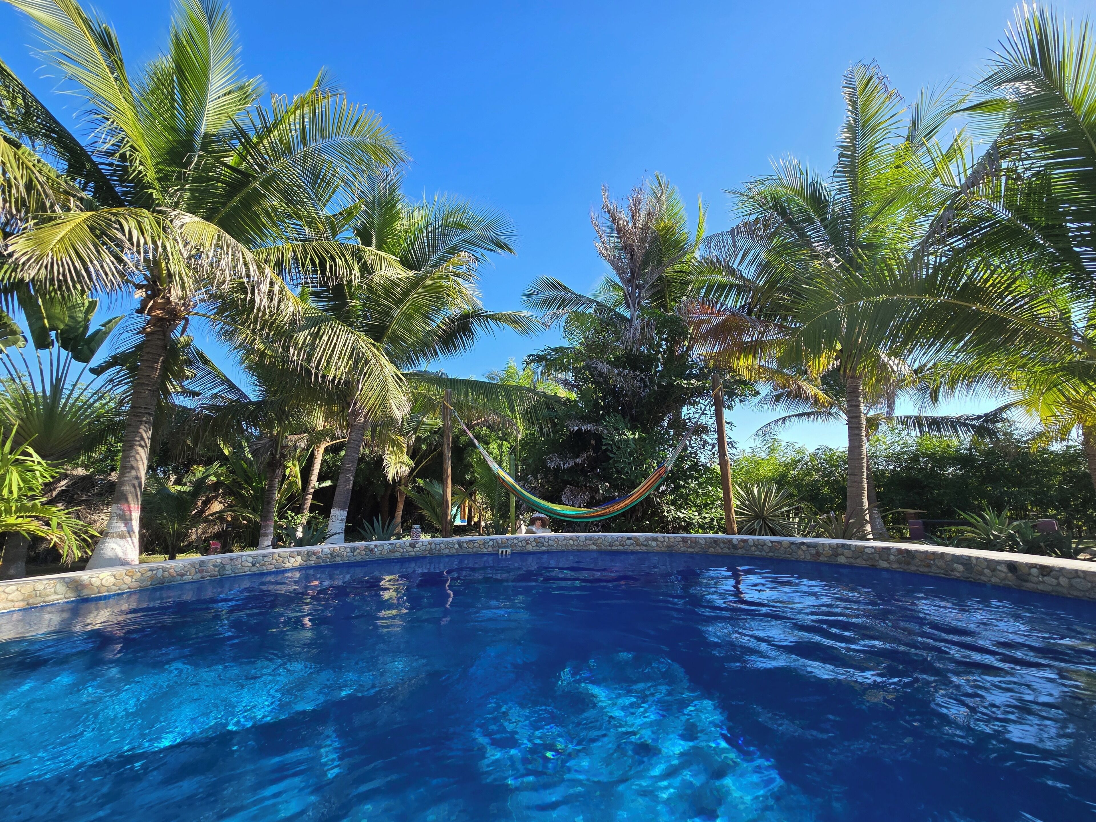 Alberca al aire libre, acceso de 08:00 a 23:00, y camastros 