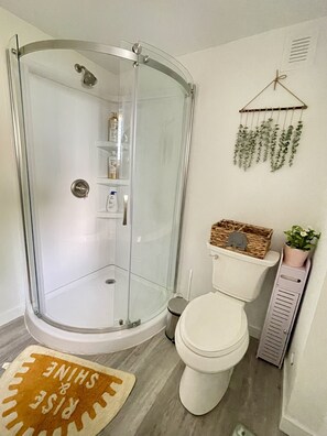 Hair dryer, towels, soap, shampoo