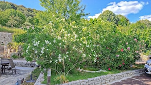 Ein Garten mit blühenden Pflanzen, einer Steinmauer und einer Bank.