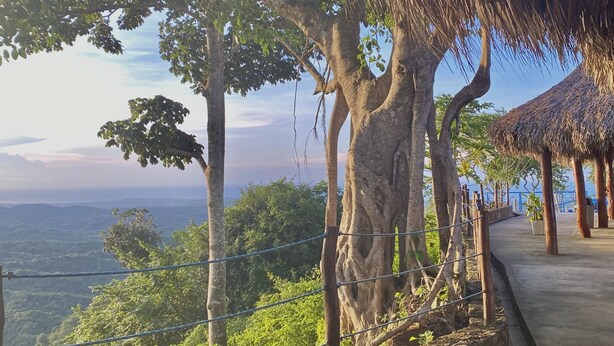 A thatched-roof structure with a view of a lush landscape. - Ecohotel La Reserva (Piojó)