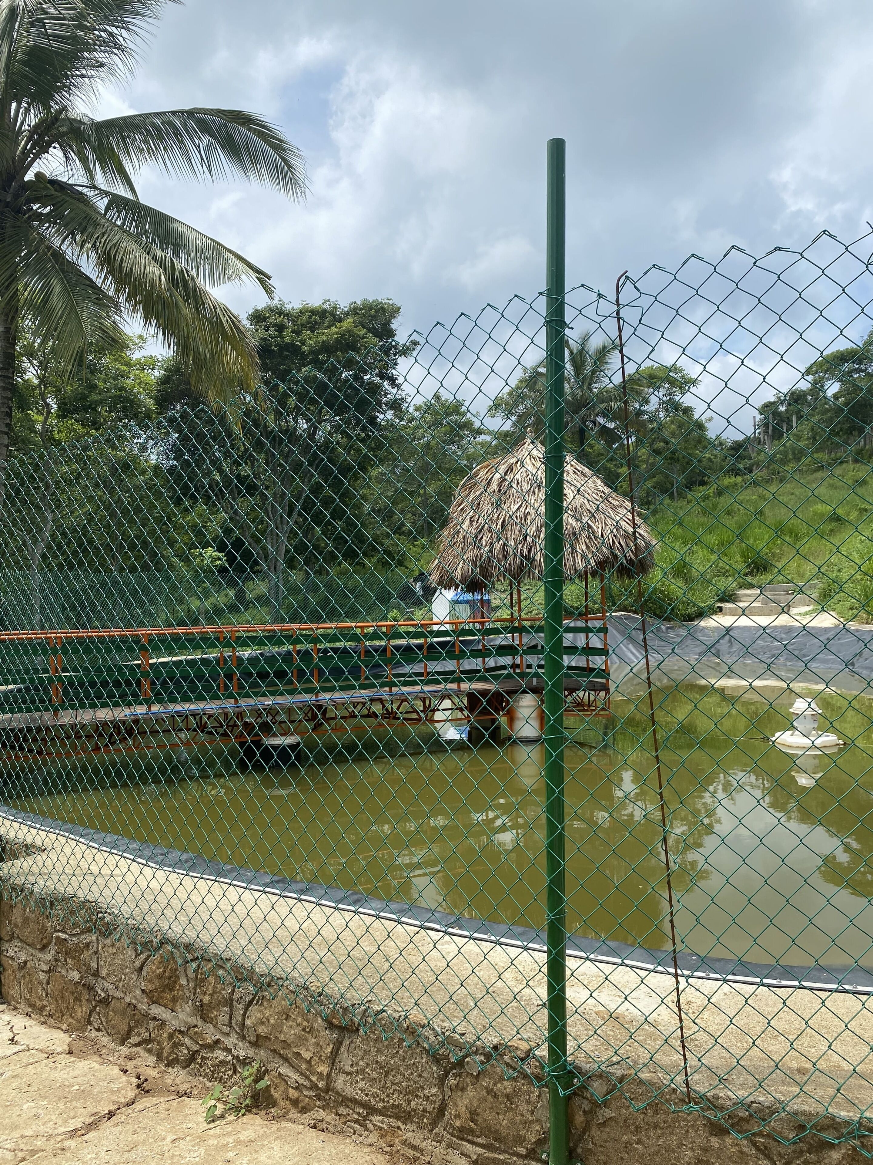 Pesca