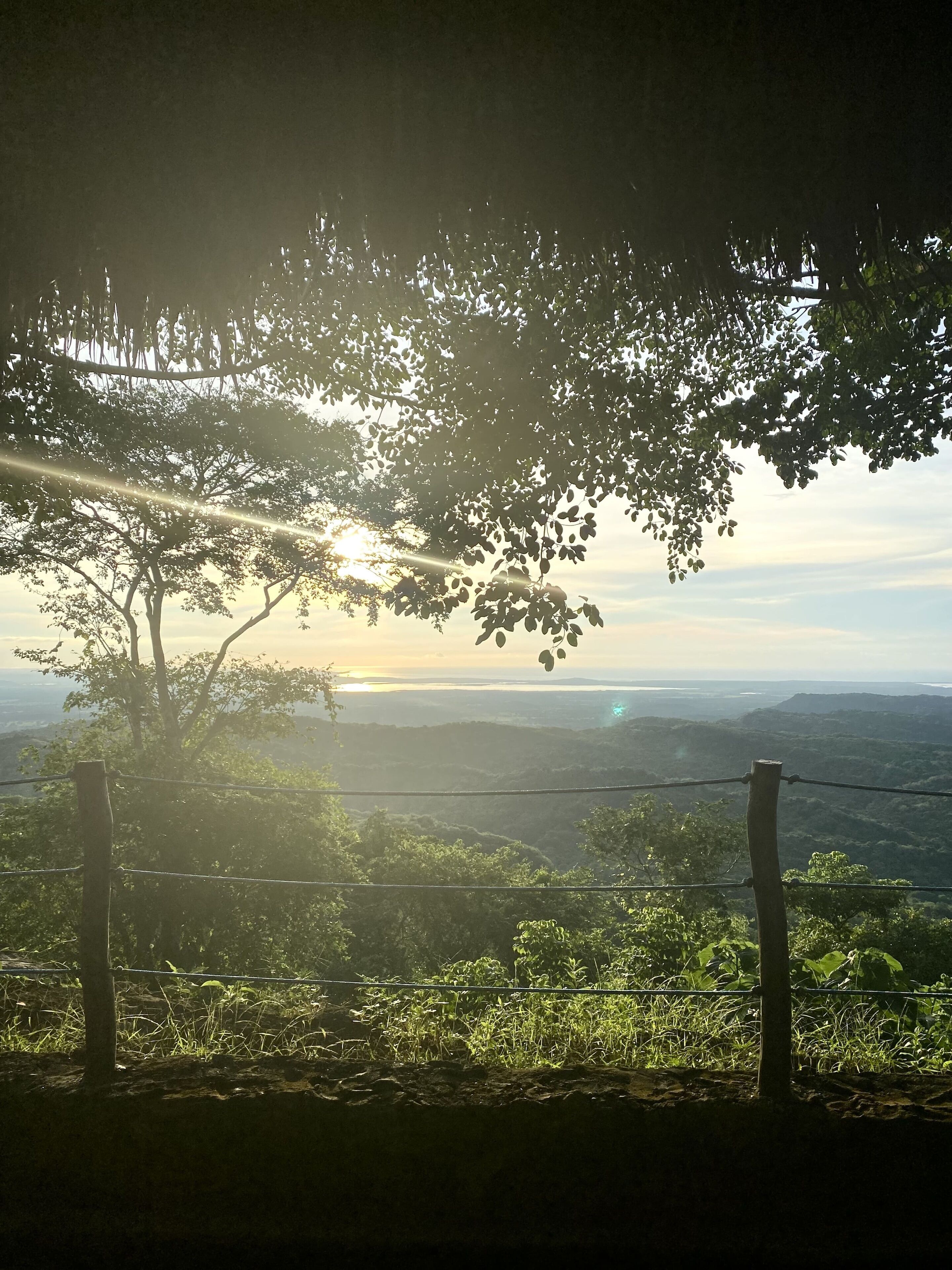 Aussicht auf eine gebirgige Landschaft, mit einem Baum im Vordergrund und einem Zaun in der Mitte.