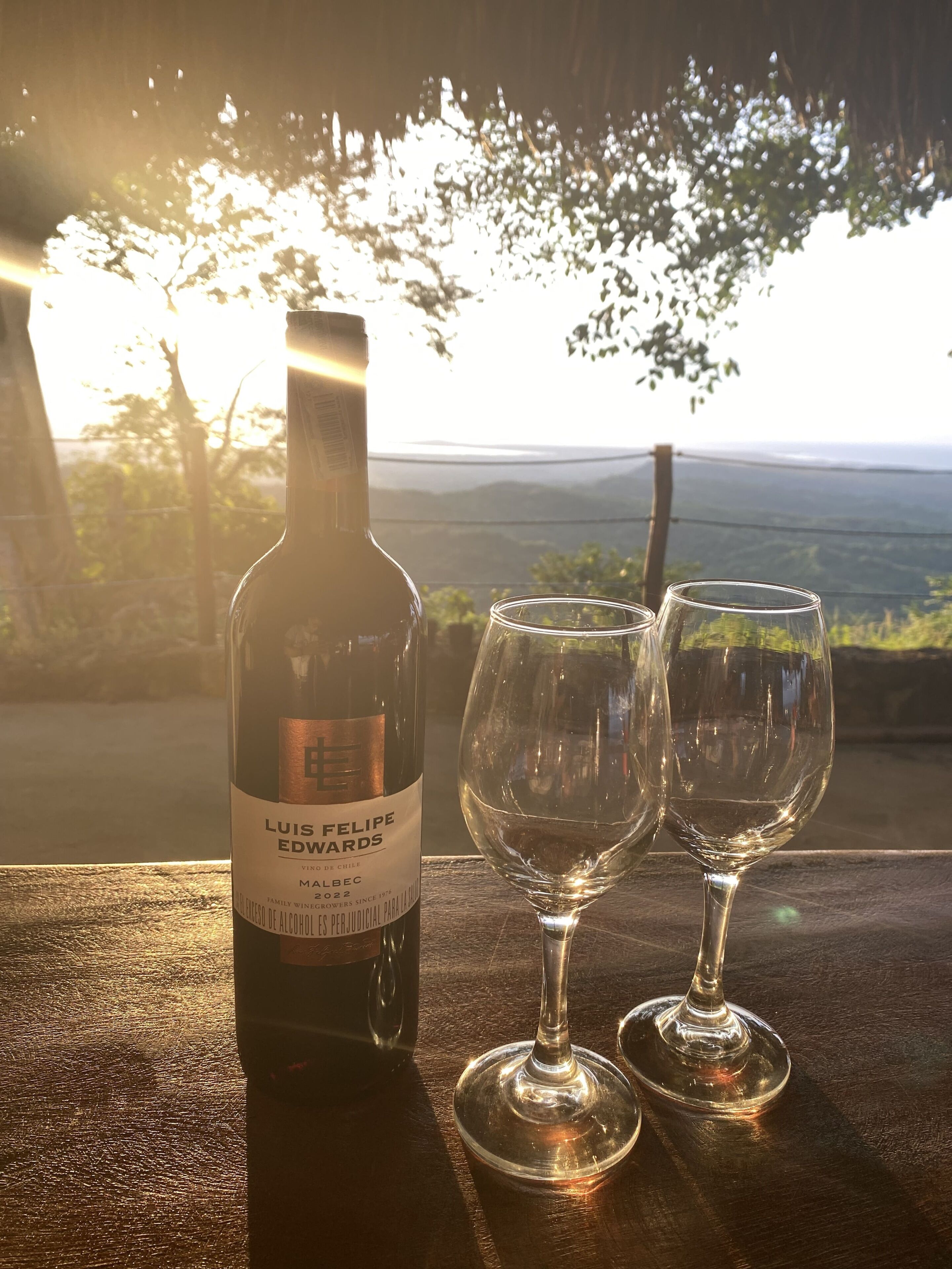 Una botella de vino y dos copas sobre una mesa, con una vista panorámica al fondo.