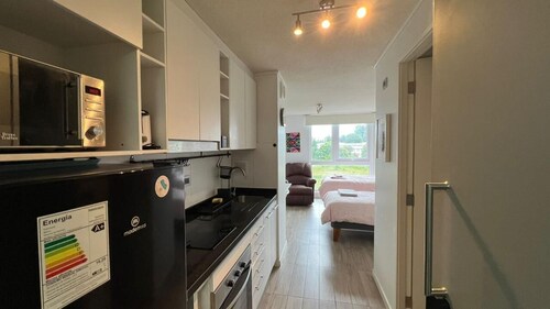 Departamento Estudio 2 Camasvaldivia Isla Teja 10 Minutos del Centro Caminando!