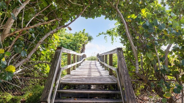 A wooden staircase leading up to a covered area surrounded by trees.