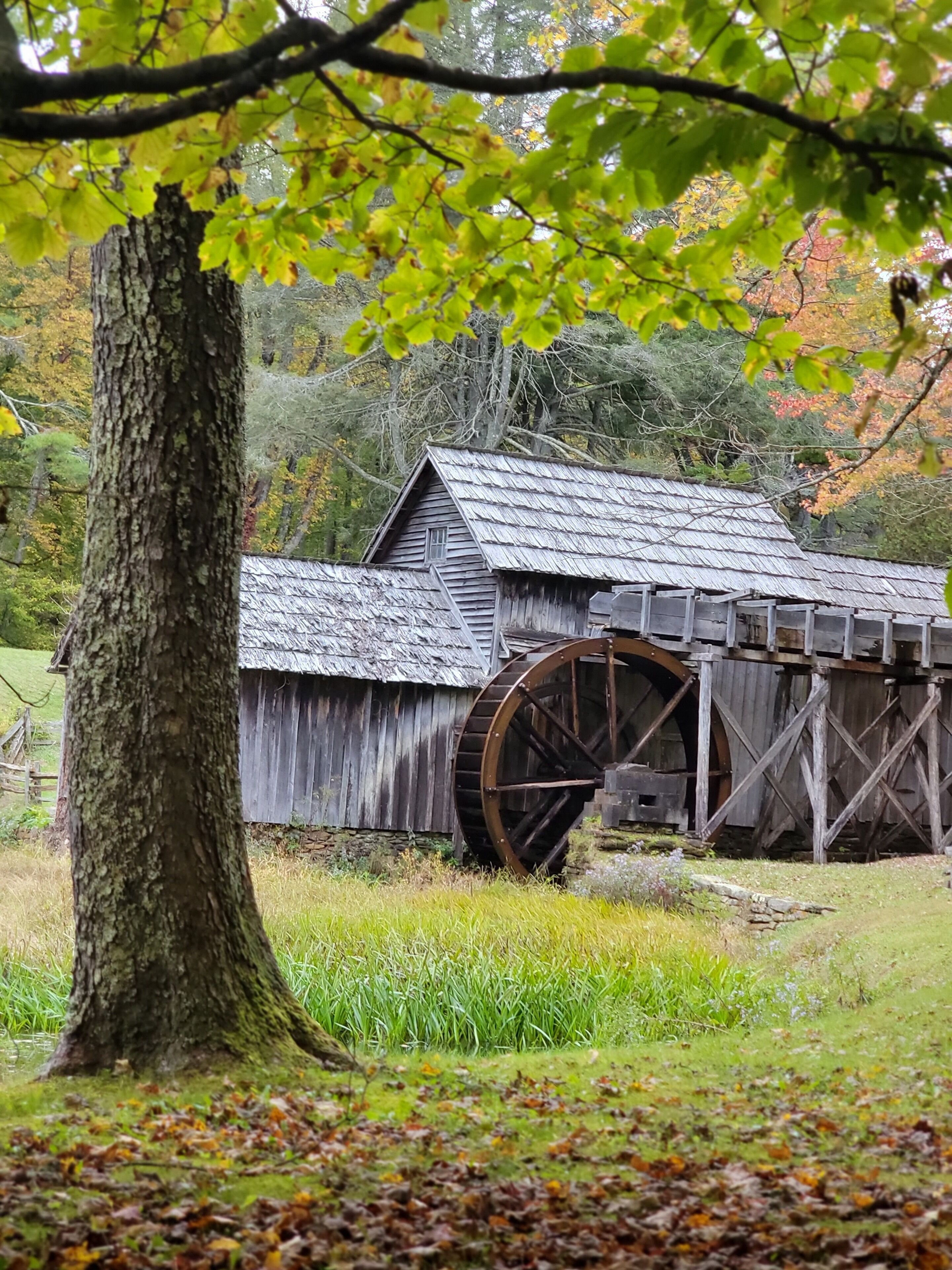 Un molino de agua rústico de madera con una rueda grande, rodeado de árboles y campos cubiertos de hierba.