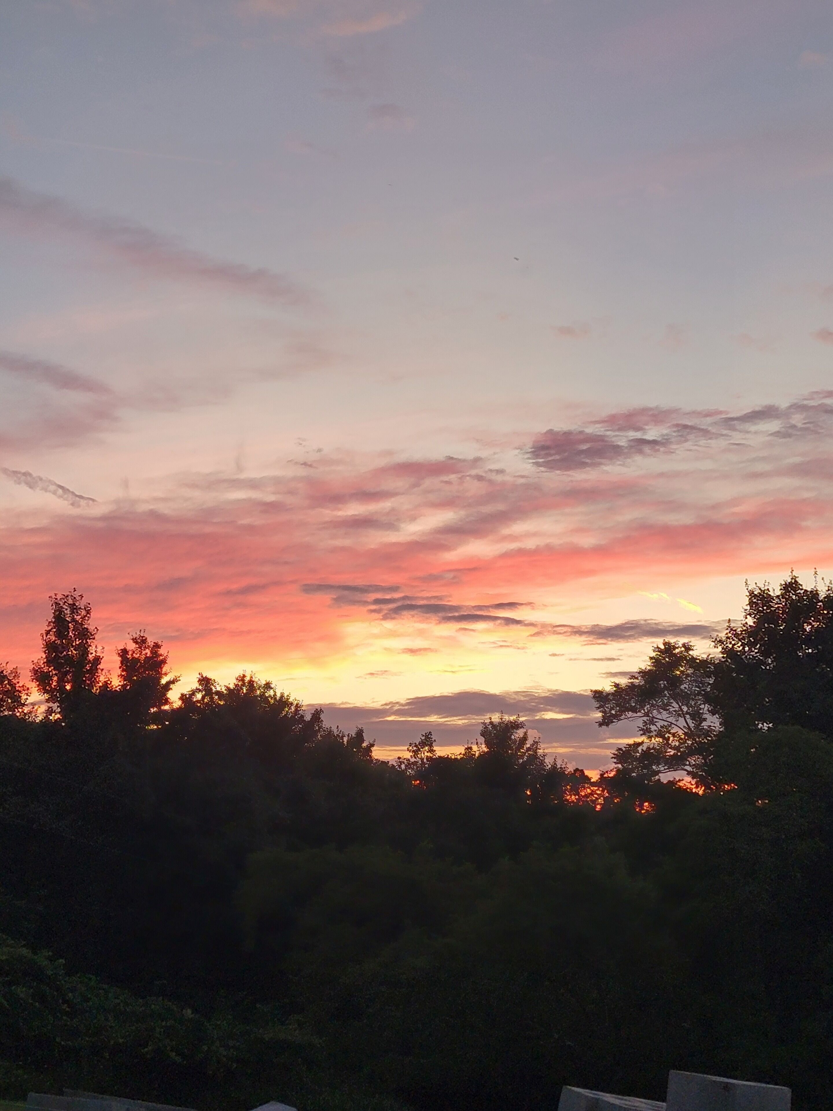 Een zonsondergang boven een landschap met bomen die in de lucht silhouetten vormen.