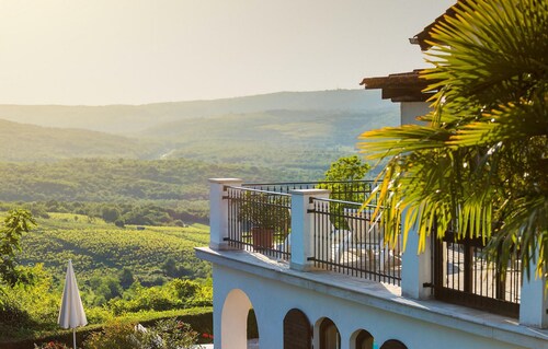 Pet friendly home in Motovun