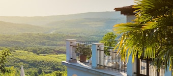 Pet friendly home in Motovun