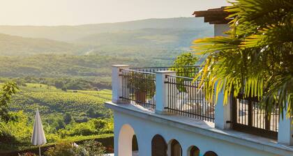 Pet friendly home in Motovun
