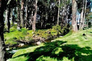 Property grounds - Riverview House of JP (Cuenca)