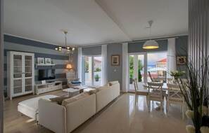 Télévision, cheminée, lecteur de DVD, table de tennis de table