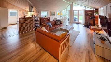 TV connectée, cheminée