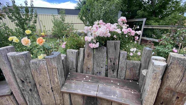 Un banc en bois dans un jardin où les fleurs sont en pleine floraison.