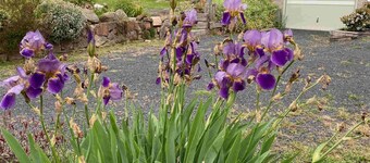 Jindaburra Cottage with wood fire