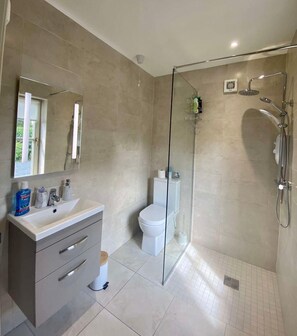 Shower, hair dryer, towels