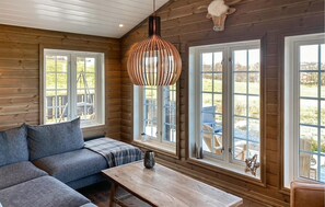 Smart-TV, Kamin