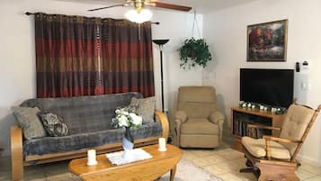 Smart TV, fireplace, books