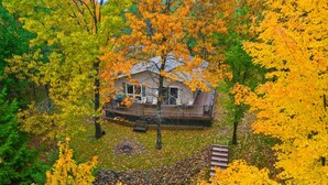 A house surrounded by trees with yellow leaves, a deck, and a stone wall.
