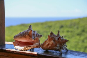 Food and drink - Bungalow 4 Pers. Vue mer et Montagne, Cuisine Équipée. Réservez un Paradis! (Deshaies)