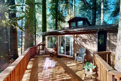Tree-lined cabin with studio & gorgeous decks, just up from Whaleshead Beach