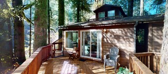 Tree-lined cabin with studio & gorgeous decks, just up from Whaleshead Beach