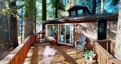 Tree-lined cabin with studio & gorgeous decks, just up from Whaleshead Beach