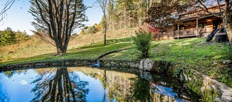 Lovely forest retreat with fireplace, full kitchen, front porch, and pond views