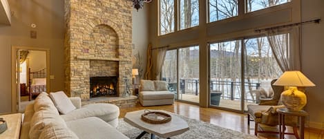 TV, fireplace, books