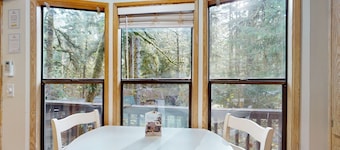 Dog-friendly cabin near beach with private hot tub, grill, patio, streaming, AC