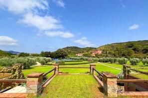 Property grounds - TRILOCALE SANT'ANNA VICOLO MUGHETTO - TRILOCALE SANT'ANNA VICOLO MUGHETTO 2 (Portoferraio)