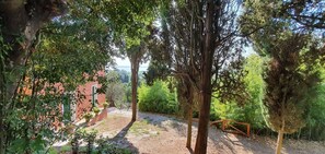 Property grounds - Collina Lagomare - Massarosa ,Tuscany (Massarosa)