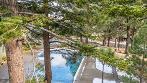 A swimming pool surrounded by trees and a metal fence.