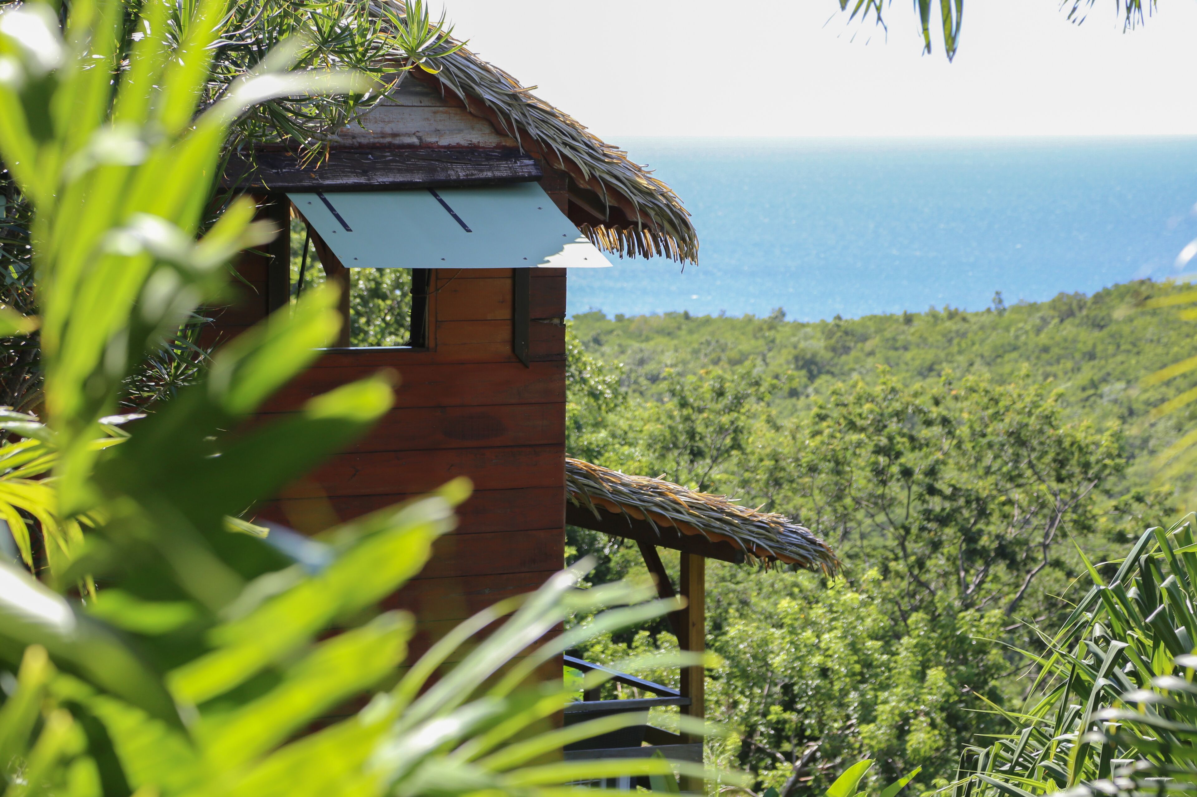 A wooden cabin with a thatched roof overlooking a lush, green landscape and the ocean.