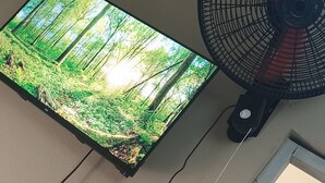 A room with a mounted television displaying a forest scene, a standing fan, a mirror reflecting a person, and a visible toilet. - Luisandro (Punta Cana)