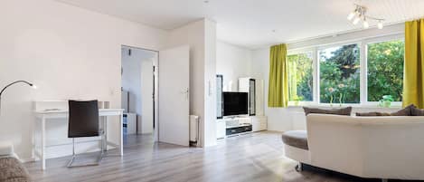 Fernseher, Stereoanlage