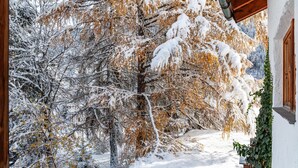 Un espacio al aire libre cubierto de nieve, con árboles y una estructura de madera.