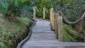 Un sentier en bois bordé de cordes de sécurité, entouré d’une végétation luxuriante.