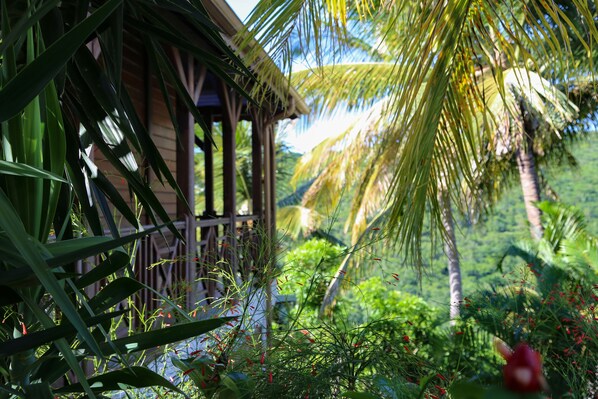 Property grounds - Bungalow 2 Pers. Vue mer et Montagne, Cuisine Équipée. Réservez Votre Paradis! (Deshaies)