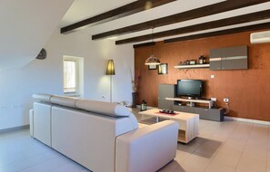 Televisión, chimenea, reproductor de DVD y tenis de mesa