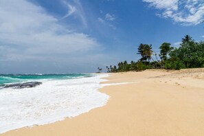 A sandy beach with ocean waves, palm trees, and a clear sky. - Surf Sea Breeze (Mirissa)