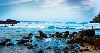 Surf Sea Breeze